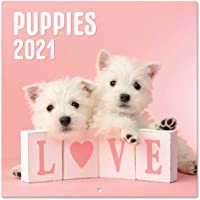 Los mejores  - ERIK - Calendario de pared 2021 Dog Simon K. &amp- Greg C.- 30x30 cm